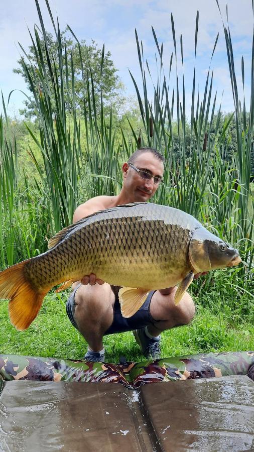 مبيت وإفطار Lonny Les Etangs Du Moulin D'Harcy المظهر الخارجي الصورة