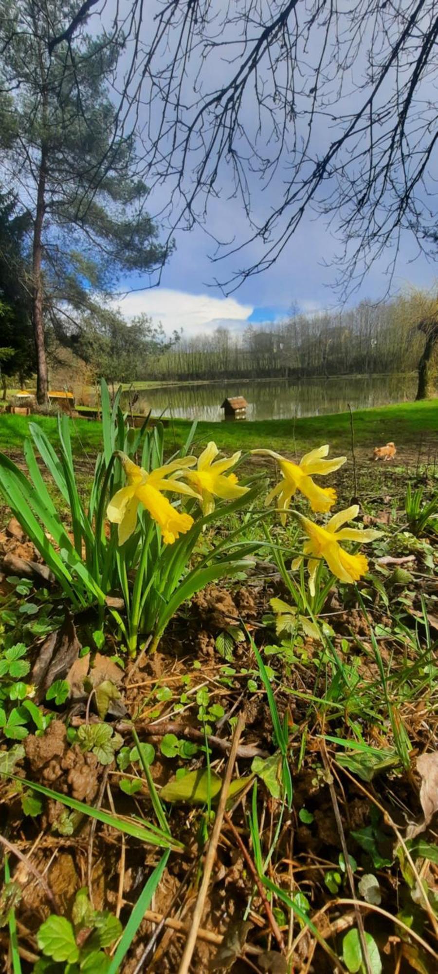 مبيت وإفطار Lonny Les Etangs Du Moulin D'Harcy المظهر الخارجي الصورة